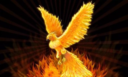 Феникс возрождается из пепла
