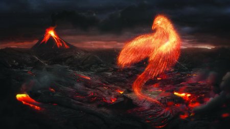 Феникс восставший из пепла