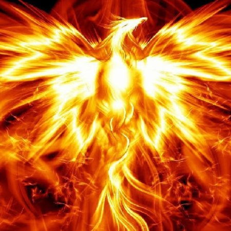 Феникс восставший из пепла