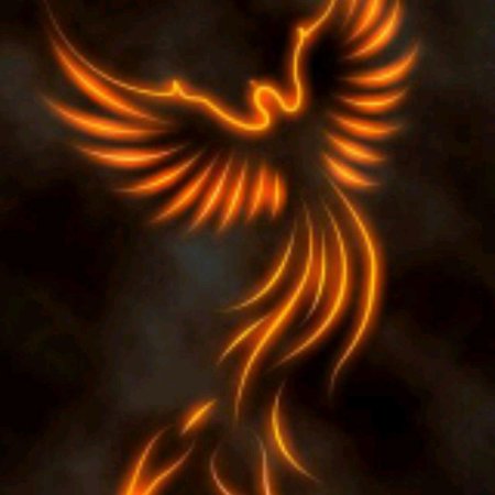 Птицы феникс