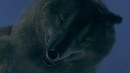 Сиф великий волк