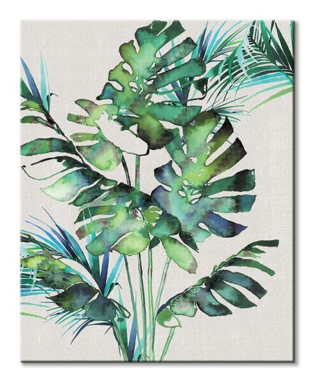 Папоротник монстера акравель