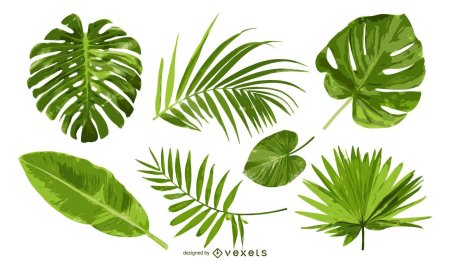 Лист тропический