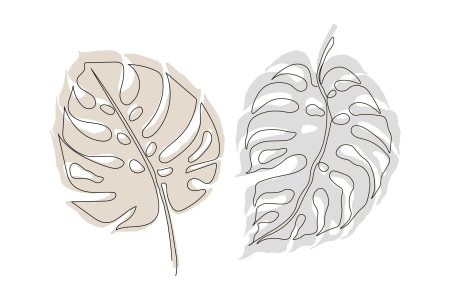 Monstera leaf контур