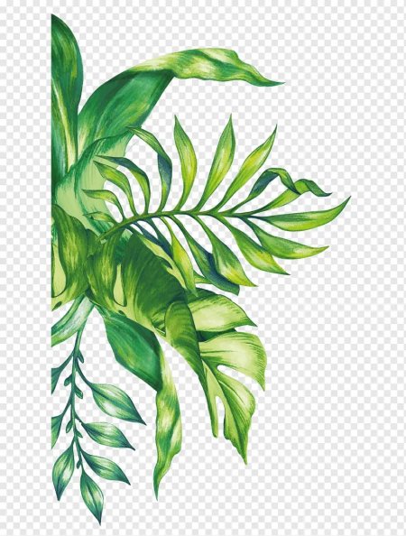 Листья тропических растений акварель