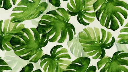 Фон монстера