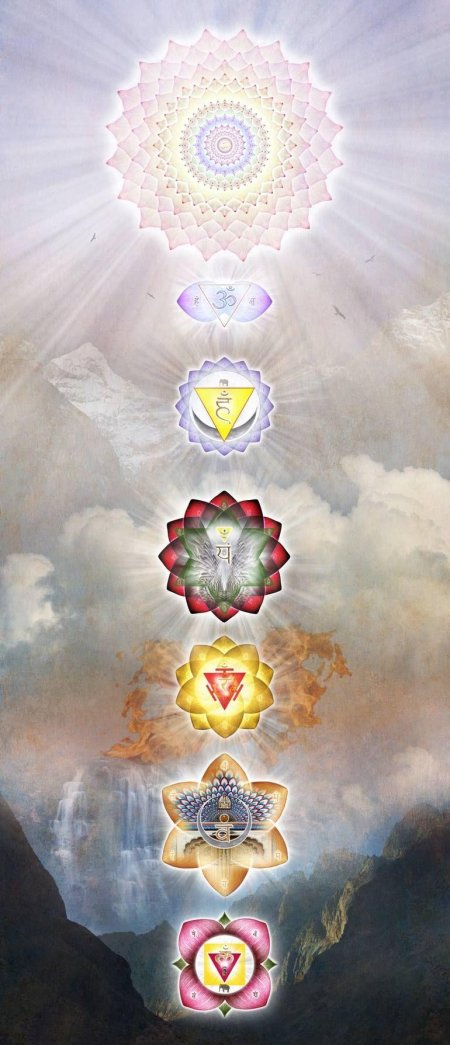 Лотос кундалини