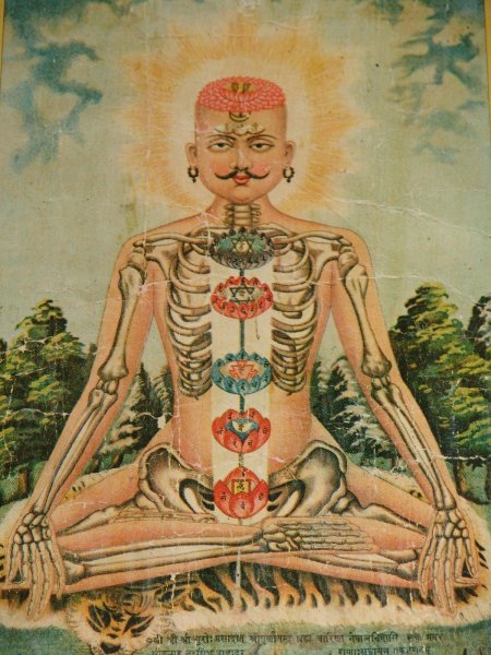 Чжуд-ши канон тибетской медицины