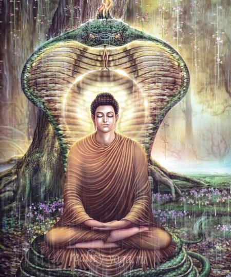 Сиддхартха гаутама будда