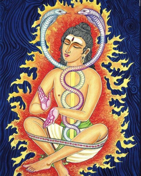 Шри кундалини-шакти змеиная сила