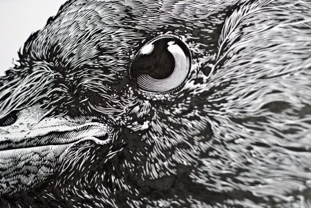 Рисунки тушью