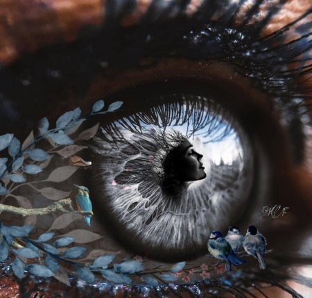 Отражение в глазах