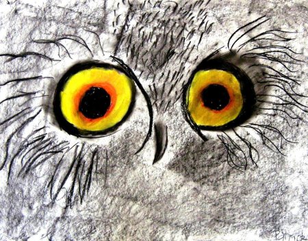 Глаза у совы