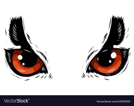 Глаза совы мультяшные