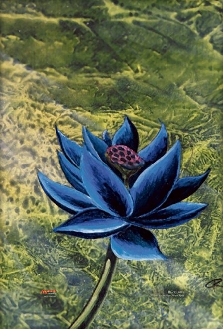 Черный лотос мтг