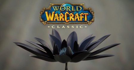 Черный лотос цветок