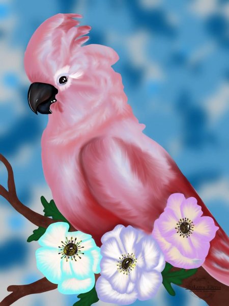 Розовые попугаи