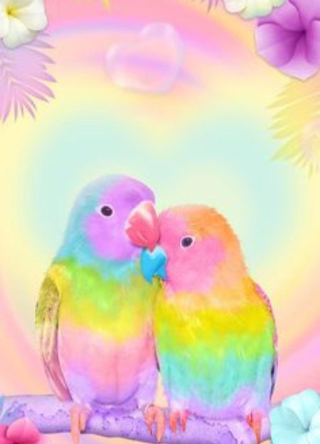 Радужные попугаи неразлучники