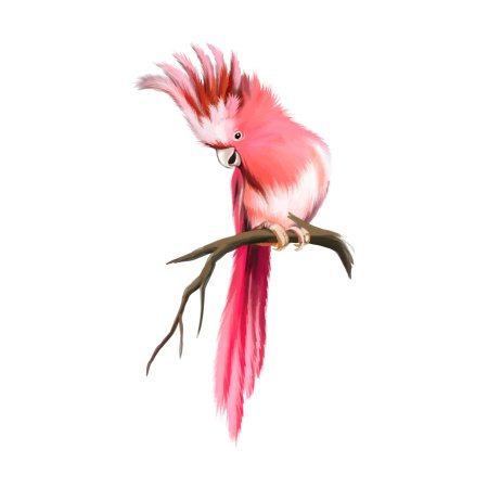 Какаду розовый