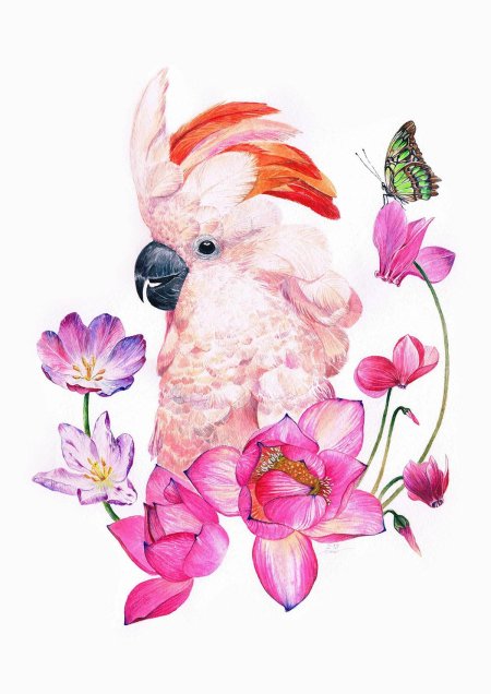 Какаду акварелью