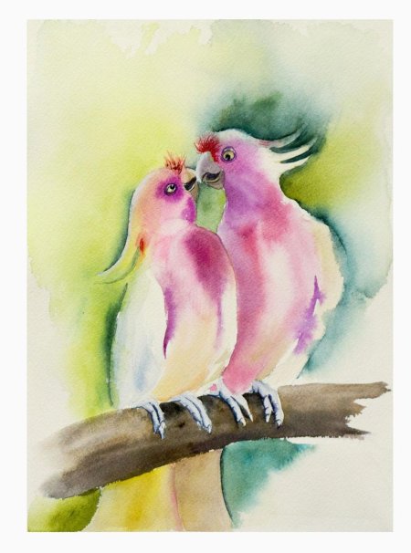 Розовые попугаи картина