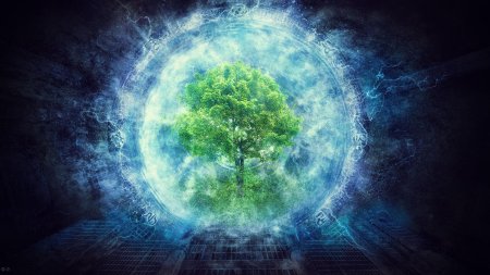 Магическое дерево