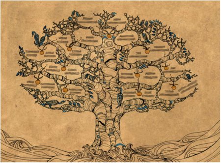 Генеалогия генеалогическое древо