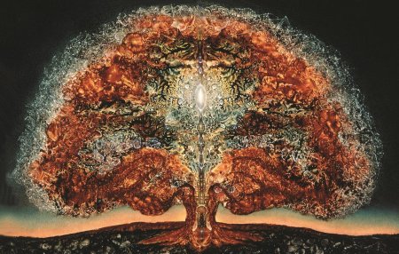 Роберт веноза картины