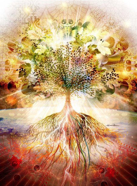 Дерева жизни