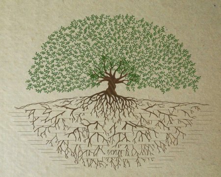 Родовое древо корни рода