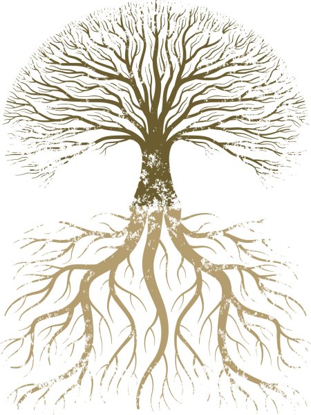 Дерево с корнем