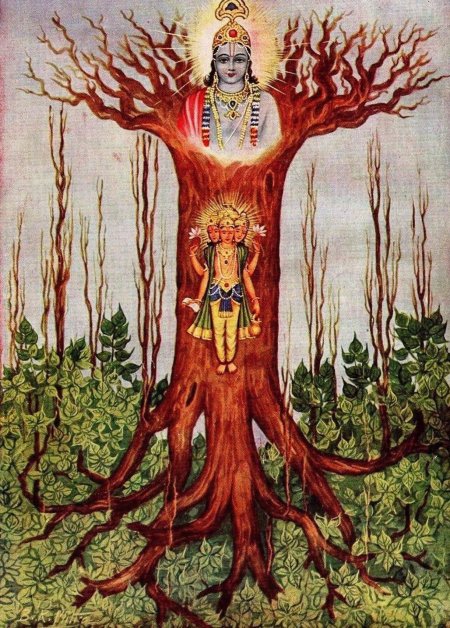 Мировое древо ашваттха