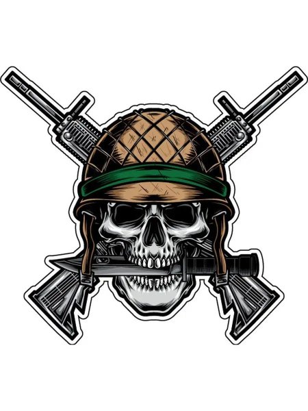 Череп в военной каске