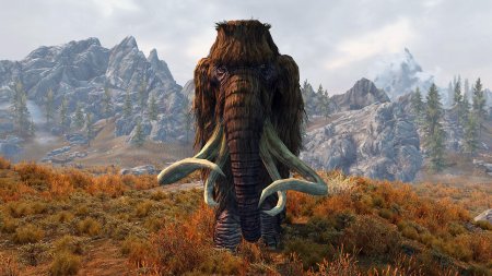 The elder scrolls skyrim