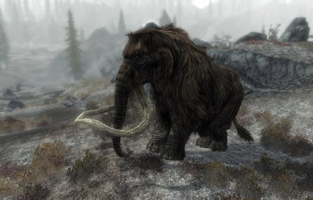 Skyrim mammoth