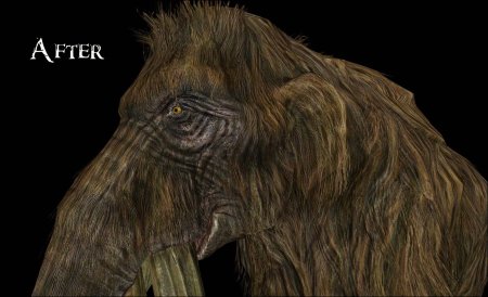 Мамонты скайрим