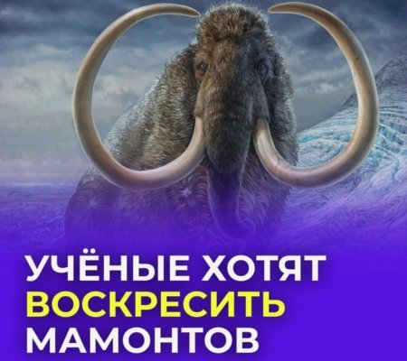Шерстистый мамонт