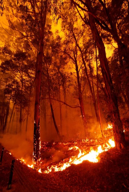 Пожар в австралии