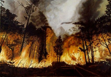 Лесной пожар денисов-уральский