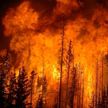 Верховой пожар