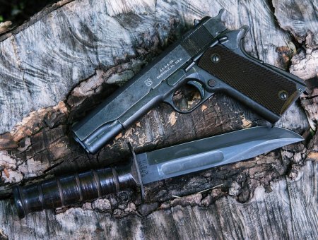 Огнестрельное оружие