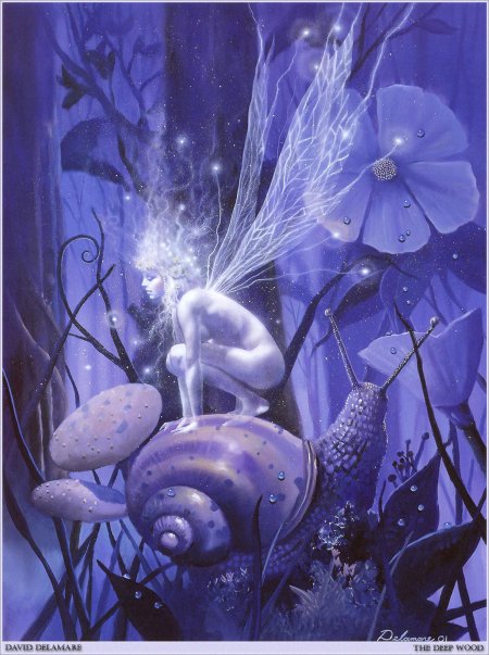 Волшебные феи