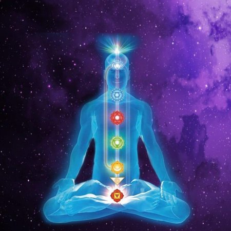 Биоэнергетика чакры