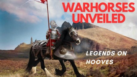 Игры про рыцарей на лошадях