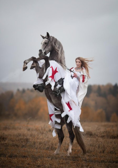 Рыцарь тамплиер на коне