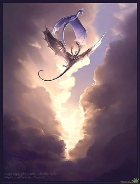 Дракон летит