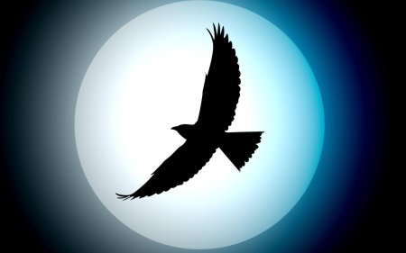 Птица в полете