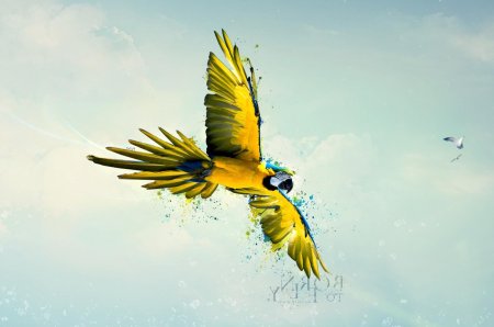 Попугай в полете