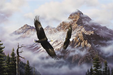 Орел в горах