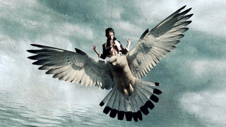 Птица в полете